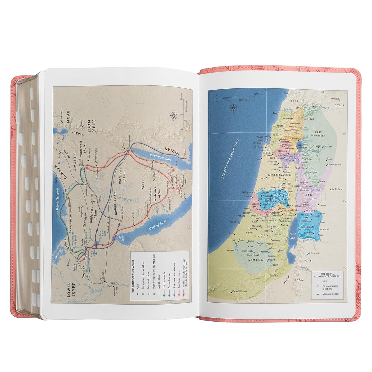 Holman KJV Giant Print Women's Bible | Pink Floral Faux Leather, Thumb-Indexed, Red Letter