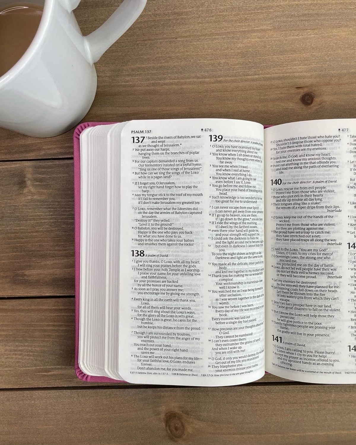 NLT Large Print Premium Value Thinline Bible, Filament Enabled | Garden Pink LeatherLike