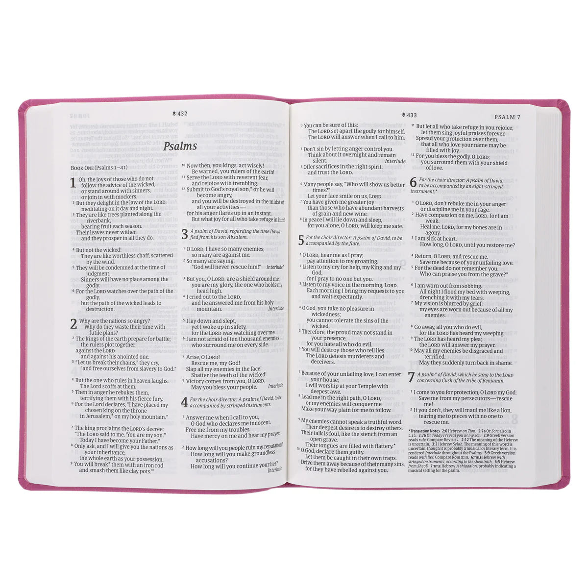 NLT Large Print Thinline Bible + Boho Bible Tabs Bundle | Garden Pink Floral LeatherLike