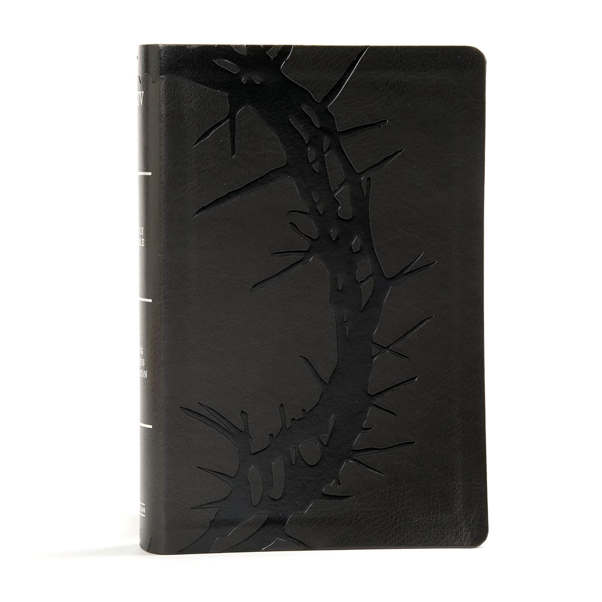 KJV Large Print Bible interior 11.25 point text